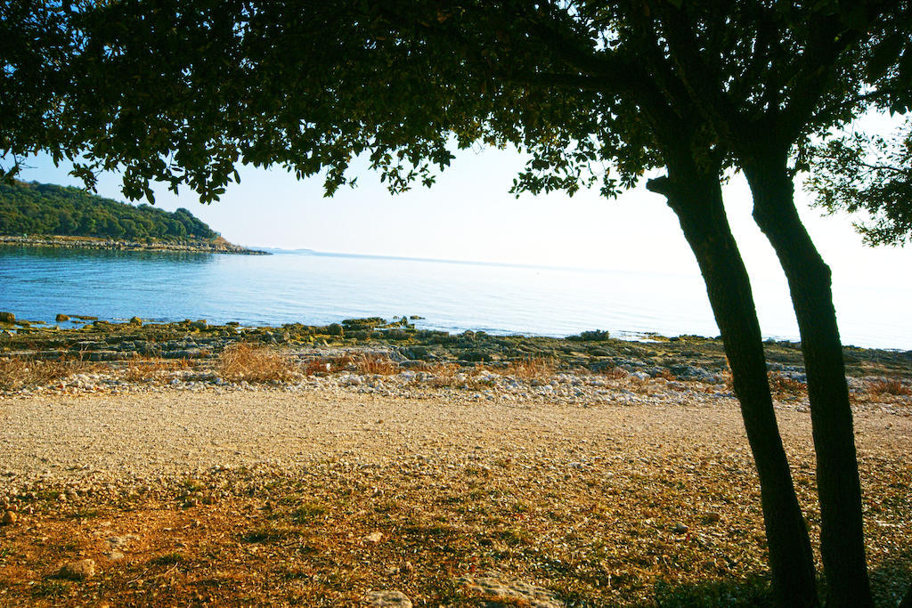 Guest House Robert I Mirna Bale Exterior photo